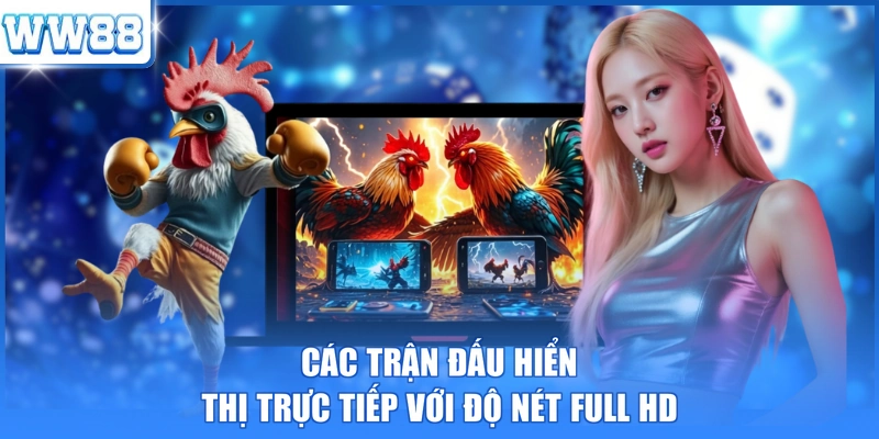 Các trận đấu hiển thị trực tiếp với độ nét Full HD