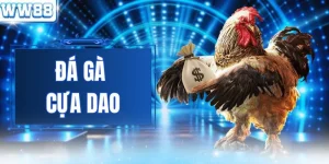 Đá Gà Cựa Dao - Trận Chiến Nảy Lửa Của Những Chiến Kê WW88