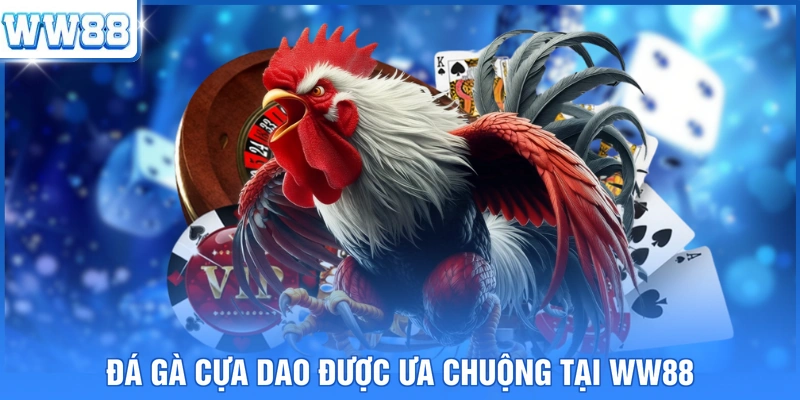 Đá gà cựa dao được ưa chuộng tại WW88