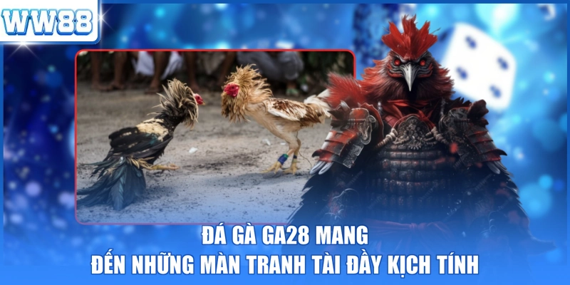 Đá gà GA28 mang đến những màn tranh tài đầy kịch tính